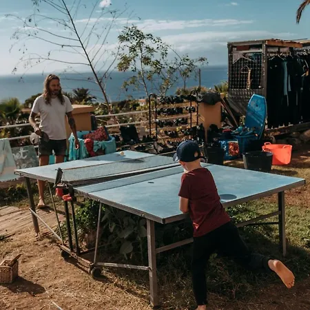 بيت شباب Surf House *