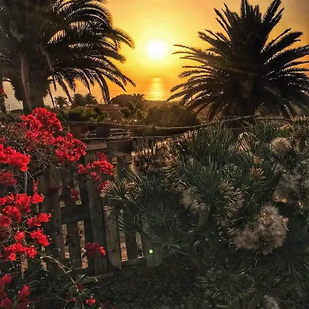 Surf House بيت شباب *